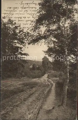 Klecken Heideweg Kat. Rosengarten