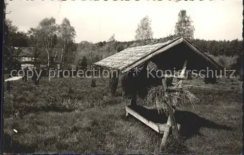 Jesteburg Waldsanatorium Ruesselkaefer Wildfuetterung Kat. Jesteburg