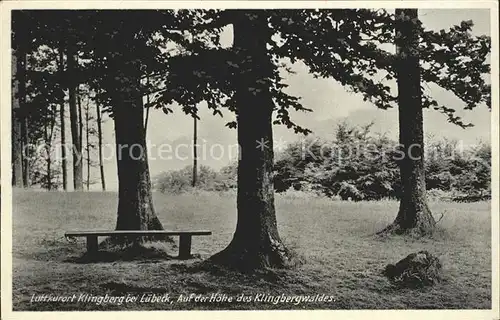 Klingberg Waldpartie Kat. Scharbeutz