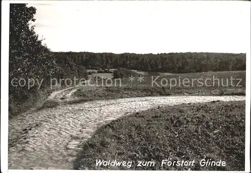 Schoenwalde Bungsberg Waldweg Forstort Glinde Kat. Schoenwalde am Bungsberg