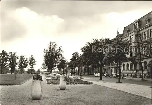 Dessau Rosslau Friedrich Engels Strasse Kat. Dessau Rosslau