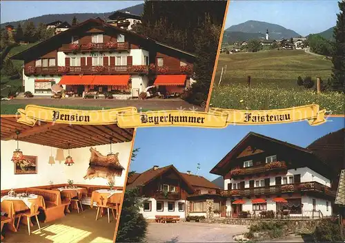 Faistenau Salzburg Fruestueckspension Bayerhammer Kat. Faistenau