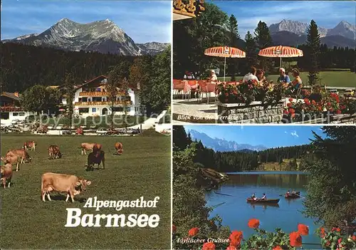 Barmsee Alpengasthof Barmsee Kat. Kruen
