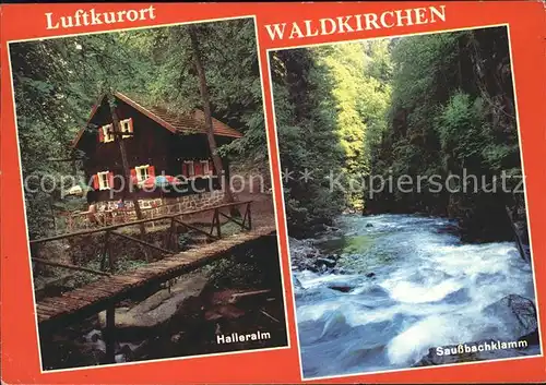 Waldkirchen Niederbayern Halleralm Saussbachklamm / Waldkirchen /Freyung-Grafenau LKR