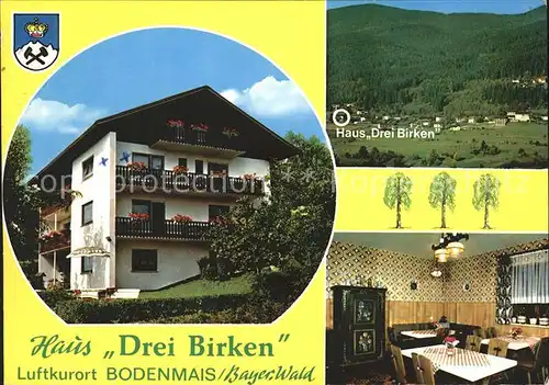 Bodenmais Haus Drei Birken Kat. Bodenmais