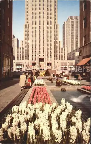 New York City Rockefeller Center Garden Plaza / New York /