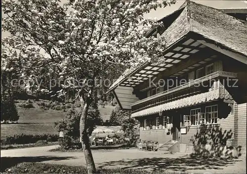 Schoenau Schwarzwald Gasthof Belchen Multen  Kat. Schoenau im Schwarzwald