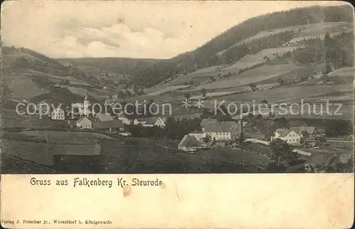 Falkenberg Oberpfalz Steurode Ortsansicht Kat. Falkenberg