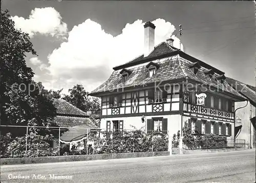 Mammern Gasthaus Adler  Kat. Mammern