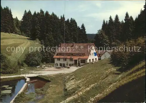 Besenfeld Erholungsheim Schwarzwaldmuehle  Kat. Seewald