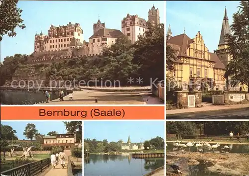 Bernburg Saale Schloss Kreiskulturhaus Eis Cafe Baerenburg Indianerdorf Tierpark Kat. Bernburg