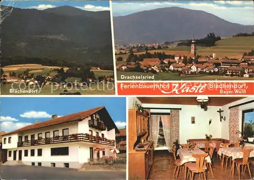 Blachendorf Ferienbauernhof Kastl Kat. Drachselsried