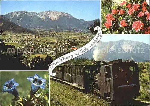 Puchberg Schneeberg Schneebergbahn Dampflok Kat. Puchberg am Schneeberg