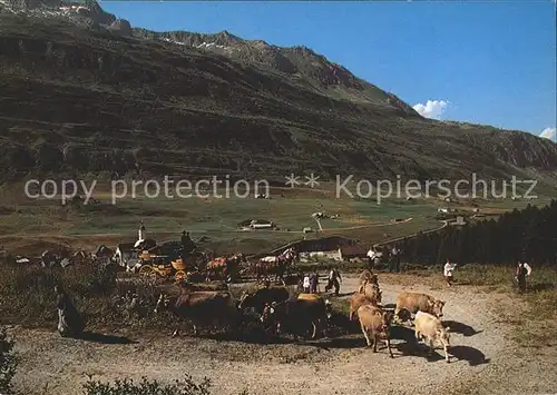 San Gottardo La posta Kat. San Gottardo