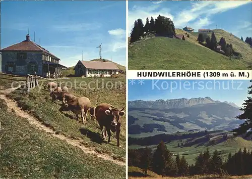 Hundwil Berggasthaus Hundwilerhoehe Kuehe Kat. Hundwil