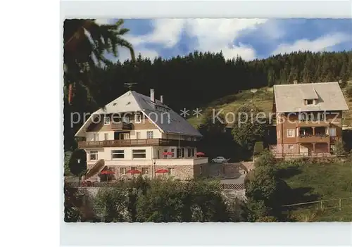 Saig Schwarzwald Hotel Haus Sonnhalde Kat. Lenzkirch