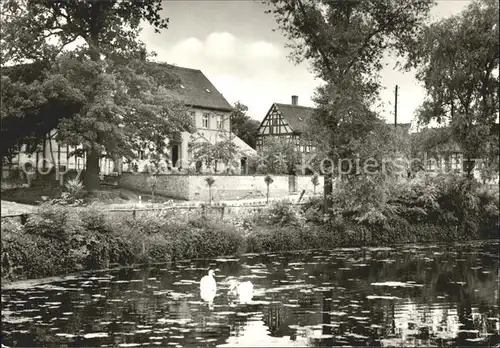 Weissbach Stadtroda Partie am Teich Kat. Weissbach Stadtroda