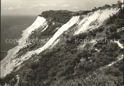 Insel Hiddensee Steilkueste Swanti und Dornbusch Kat. Insel Hiddensee