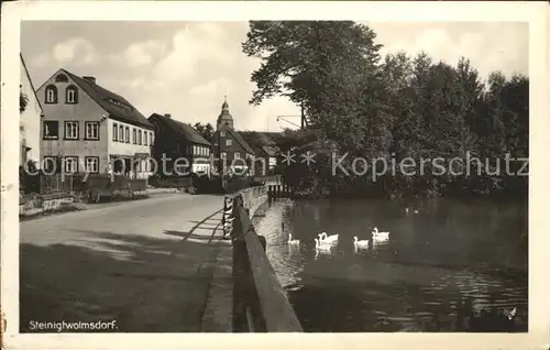 Steinigtwolmsdorf Am Teich mit Schwaenen Kat. Steinigtwolmsdorf