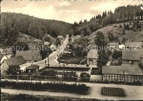 Tanne Harz  Kat. Tanne Harz