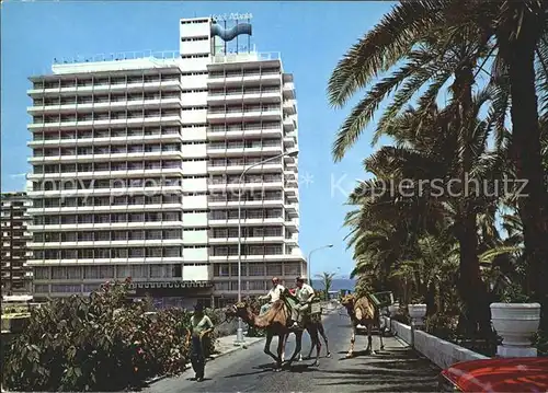 Puerto de la Cruz Kamel Spazierritt Kat. Puerto de la Cruz Tenerife