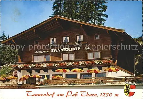 Mittersill Oberpinzgau Tannenhof am Pass  Kat. Mittersill