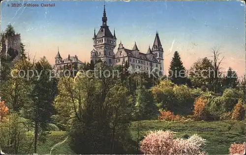 Taegerwilen Schloss Castell Kat. Taegerwilen