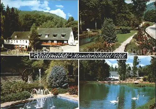 Manderscheid Eifel Heidsmuehle Park Springbrunnen Muehle Schwanenteich Kat. Manderscheid
