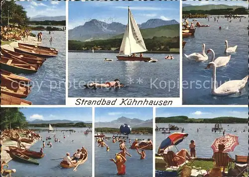 Kuehnhausen Waginger See Strandbad mit Hochstaufen Schwaene Kat. Petting