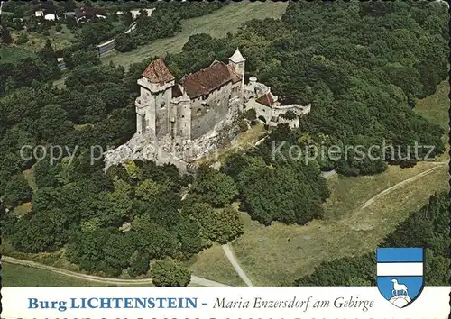 Maria Enzersdorf Fliegeraufnahme Burg Lichtenstein  Kat. Maria Enzersdorf