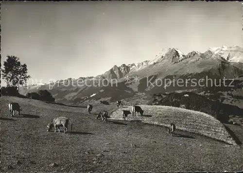 Obersaxen GR Brigelserhoerner Bifertenstock / Obersaxen /Bz. Surselva