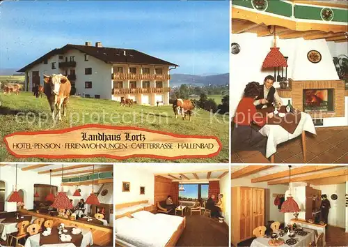 Eberbach Odenwald Landhaus Lortz Hotel Pension Reichelsheim Kat. Reichelsheim (Odenwald)