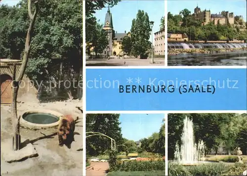 Bernburg Saale Schloss Rosengarten Marx Engels Platz Kat. Bernburg