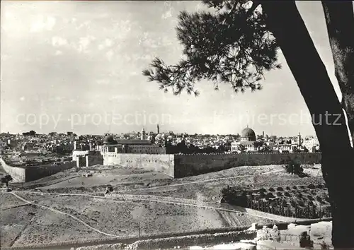 Jerusalem Yerushalayim  Kat. Israel