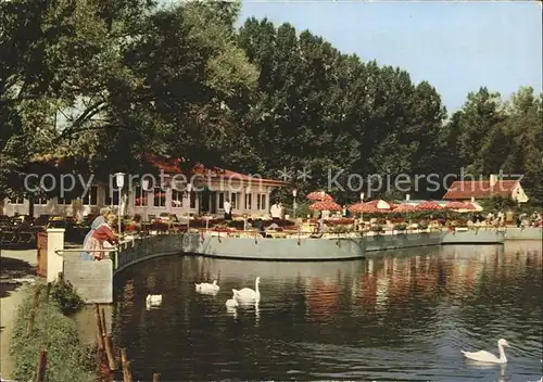 Bad Gandersheim Cafe Restaurant Seeterrassen Kat. Bad Gandersheim