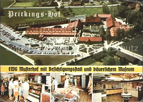 Sythen Prickings Hof Westfaelischer EWG Musterhof baeuerl Museum Hofladen  Kat. Haltern am See