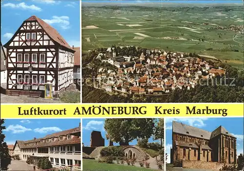 Amoeneburg Fachwerkhaus Totalansicht Schloss Ruine Kat. Amoeneburg
