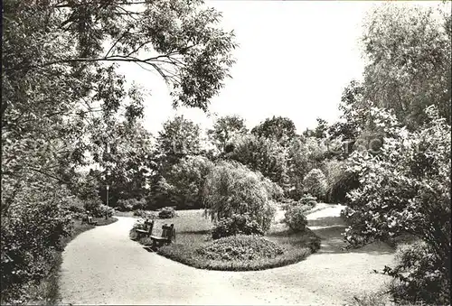 Schmiedeberg Bad Stadtpark Kat. Bad Schmiedeberg Duebener Heide