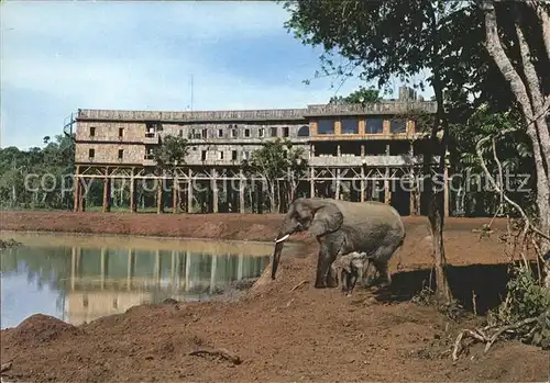 Nyeri Treetops Elefantenpark Kat. Nyeri