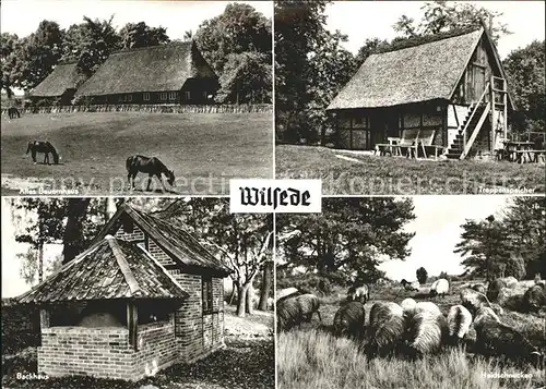Wilsede Lueneburger Heide Altes Bauernhaus Pferd Treppenspeicher Backhaus Heidschnucken / Bispingen /Soltau-Fallingbostel LKR