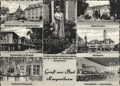 Bad Mergentheim Schloss Hoch Deutschmeister Hotel Kurhaus Marktplatz Wanderhalle  Kat. Bad Mergentheim