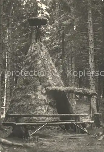 Schierke Harz Koehlerhuette am Erdbeerkopf Kat. Schierke Brocken