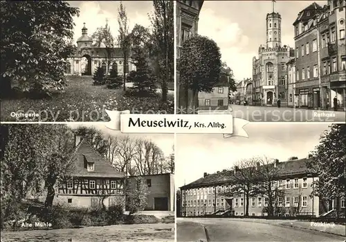 Meuselwitz Orangeri Rathaus Alte Muehle  Kat. Meuselwitz Thueringen