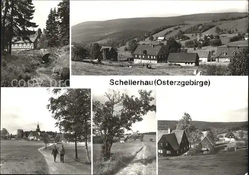 Schellerhau  Kat. Altenberg