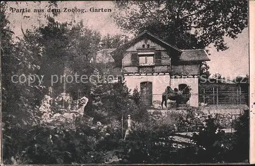 Muelhausen Elsass Partie im Zoologischen Garten Kat. Mulhouse