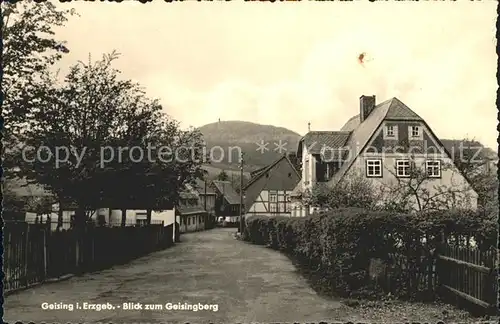 Geising Erzgebirge Blick zum Geisingberg Kat. Geising Osterzgebirge