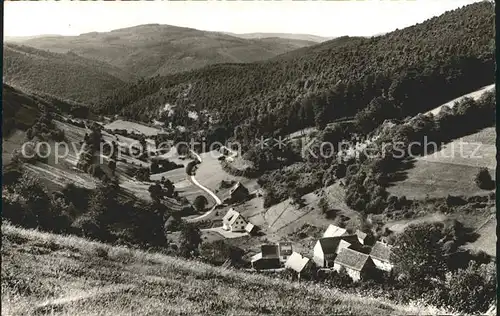 Struempfelbrunn Unterer Hoellgrund Panorama Kat. Waldbrunn