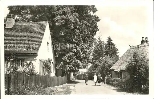 Ferch Dorfstrasse Kat. Schwielowsee