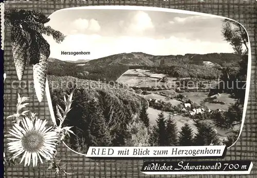 Ried Tegernau Panorama mit Herzogenhorn Kat. Tegernau