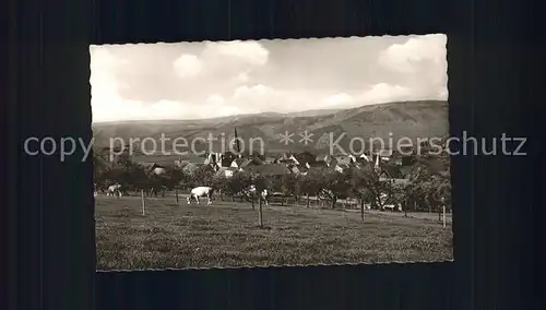 Rothenberg Odenwald Kuehe Ortsansicht Kat. Rothenberg